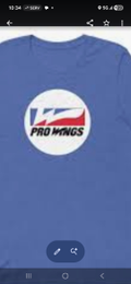 PRO WINGS logo