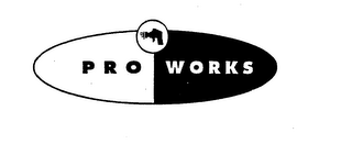 PRO WORKS logo