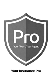 PRO YOUR TEAM. YOUR AGENT. YOUR INSURANCE PRO logo
