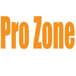 PRO ZONE logo