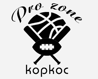 PRO ZONE KOPKOC logo