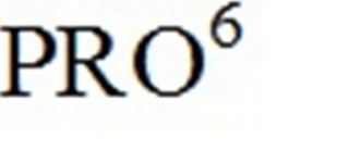 PRO6 logo