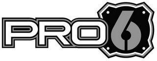 PRO6 logo