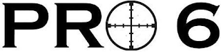 PRO6 logo