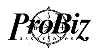 PROBIZ ASSOCIATES logo