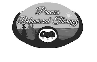 PROCESS BEHAVIORAL THERAPY logo