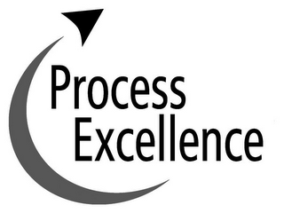 PROCESS EXCELLENCE logo