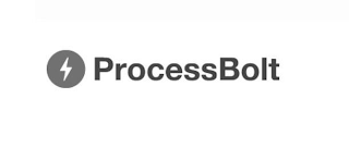 PROCESSBOLT logo