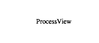 PROCESSVIEW logo