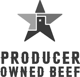 PRODUCER OWNED BEEF logo