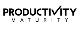 PRODUCTIITY MATURITY logo