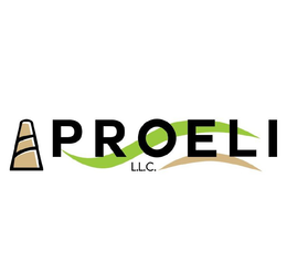 PROELI L.L.C. logo