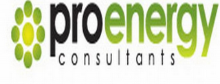 PROENERGY CONSULTANTS logo