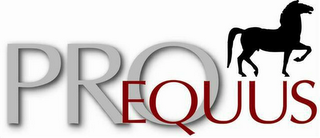 PROEQUUS logo