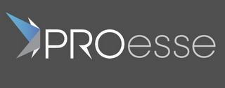 PROESSE logo