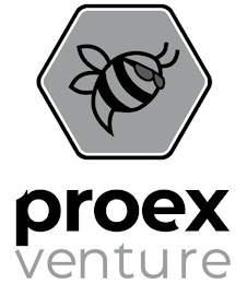 PROEX VENTURE logo