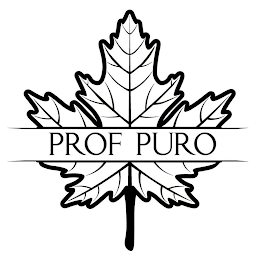 PROF PURO logo