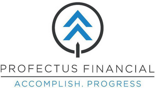 PROFECTUS FINANCIAL ACCOMPLISH. PROGRESS logo