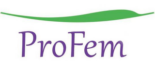 PROFEM logo