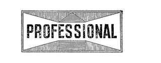 PROFESSIONAL logo