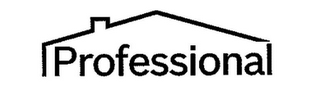 PROFESSIONAL logo