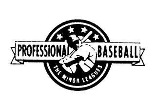 PROFESSIONAL BASEBALL THE MINOR LEAGUES logo