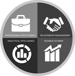 PROFESSIONAL EFFECTIVENESS RELATIONSHIPMANAGEMENT ANALYTICAL INTELLIGENCE BUSINESS ACUMEN logo