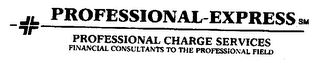 PROFESSIONAL-EXPRESS PROFESSIONAL CHARGE SERVICES FINANCIAL CONSULTANTS TO THE PROFESSIONAL FIELD logo