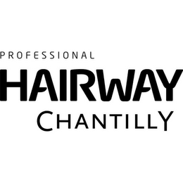 PROFESSIONAL HAIRWAY CHANTILLY logo