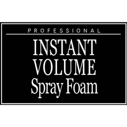 PROFESSIONAL INSTANT VOLUME SPRAY FOAM logo