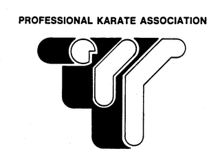 PROFESSIONAL KARATE ASSOCIATION logo