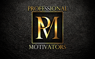 PROFESSIONAL MOTIVATORS PM logo
