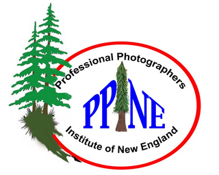 PROFESSIONAL PHOTOGRAPHERS PP NE INSTITUTE OF NEW ENGLAND logo