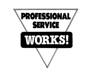 PROFESSIONAL SERVICE WORKS! logo
