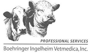 PROFESSIONAL SERVICES BOEHRINGER INGELHEIM VETMEDICA, INC. logo