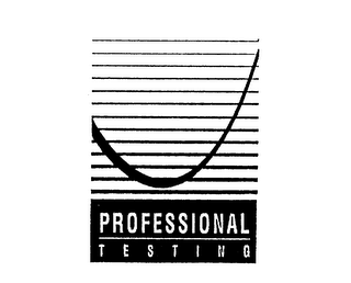 PROFESSIONAL TESTING