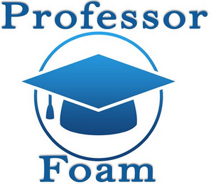 PROFESSOR FOAM logo
