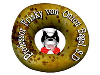 PROFESSOR FRISKY VON ONION BAGEL, S. D. logo