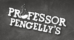 PROFESSOR PENGELLY'S logo