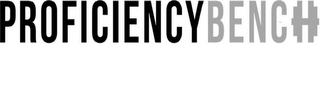 PROFICIENCYBENCH logo