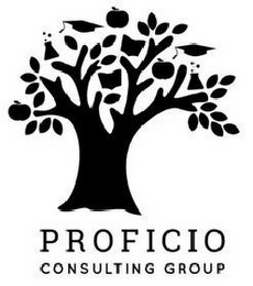 PROFICIO CONSULTING GROUP logo