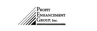 PROFIT ENHANCEMENT GROUP, INC. logo