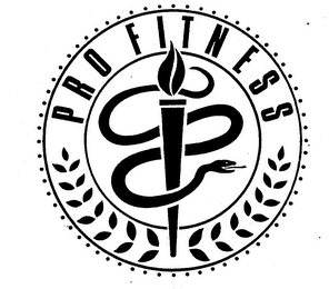 PROFITNESS logo