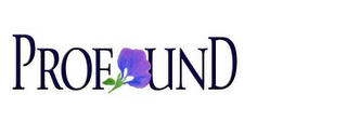 PROFOUND logo