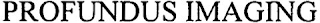 PROFUNDUS IMAGING logo