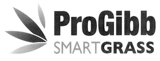 PROGIBB SMARTGRASS logo