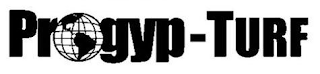 PROGYP-TURF logo