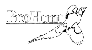 PROHUNT logo