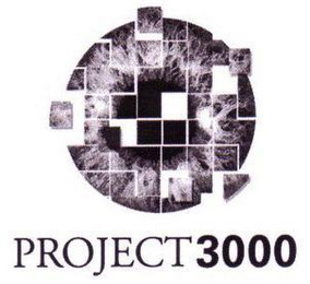 PROJECT 3000 logo