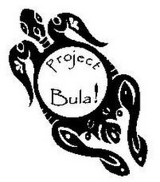 PROJECT BULA! logo